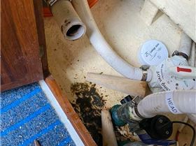 2280250971333757722988915421120178909331509n