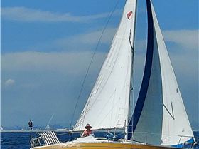 Copy of 20210806130955(4)