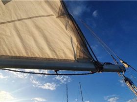 Image1838413641697241115