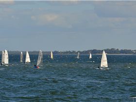 2022 HYC Winterbash from Races 1, 2 & 3, Monohulls