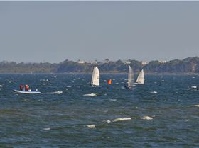 2022 HYC Winterbash from Races 1, 2 & 3, Monohulls