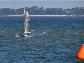 2022 HYC Winterbash from Races 1, 2 & 3, Monohulls