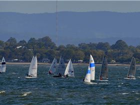 2022 HYC Winterbash from Races 1, 2 & 3, Monohulls