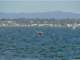 2022 HYC Winterbash Race 1, Multihulls