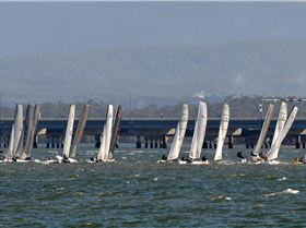2022 HYC Winterbash Race 3, Multihulls