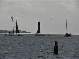 2019 Brisbane to Gladstone Multihull Yacht Race