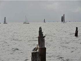 2019 Brisbane to Gladstone Multihull Yacht Race