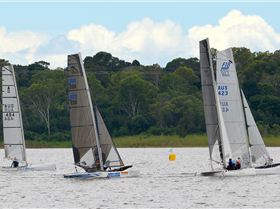 Lake Samsonvale Water Sports Association (LSWSA) 2022 Regatta (Race 1, Sunday)