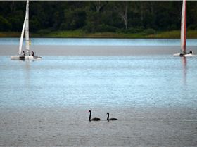 Lake Samsonvale Water Sports Association (LSWSA) 2022 Regatta (Race 1, Sunday)