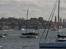 2020 Sail GP Sydney (Friday)