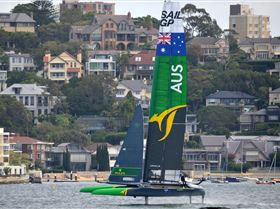 2020 Sail GP Sydney (Friday)