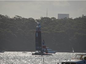 2020 Sail GP Sydney (Friday)