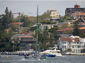 2020 Sail GP Sydney (Friday)