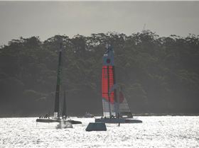 2020 Sail GP Sydney (Friday)