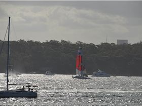 2020 Sail GP Sydney (Friday)