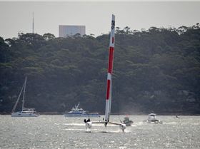 2020 Sail GP Sydney (Friday)