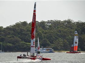 2020 Sail GP Sydney (Friday)