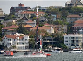 2020 Sail GP Sydney (Friday)