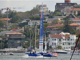 2020 Sail GP Sydney (Friday)