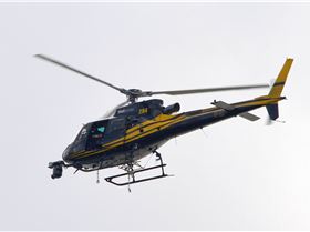 2020 Sail GP Sydney (Friday)