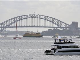 2020 Sail GP Sydney (Friday)