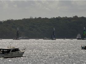 2020 Sail GP Sydney (Friday)