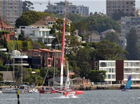 2020 Sail GP Sydney (Friday)