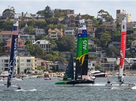 2020 Sail GP Sydney (Friday)