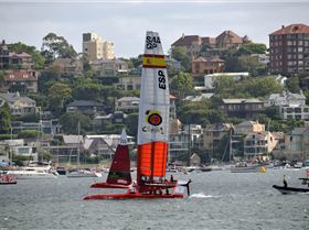 2020 Sail GP Sydney (Friday)