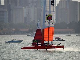 2020 Sail GP Sydney (Friday)