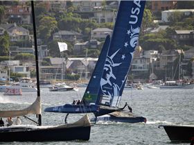 2020 Sail GP Sydney (Friday)