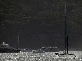 2020 Sail GP Sydney (Friday)