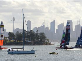 2020 Sail GP Sydney (Friday)