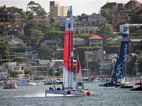 2020 Sail GP Sydney (Friday)