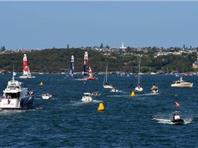 2020 Sail GP Sydney (Saturday)