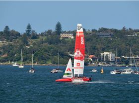 2020 Sail GP Sydney (Saturday)