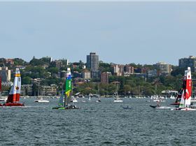 2020 Sail GP Sydney (Saturday)