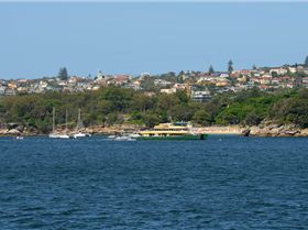 2020 Sail GP Sydney (Saturday)