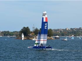 2020 Sail GP Sydney (Saturday)