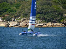 2020 Sail GP Sydney (Saturday)