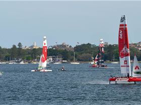 2020 Sail GP Sydney (Saturday)