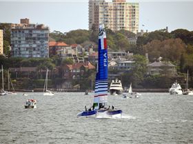2020 Sail GP Sydney (Saturday)