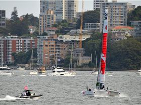 2020 Sail GP Sydney (Saturday)