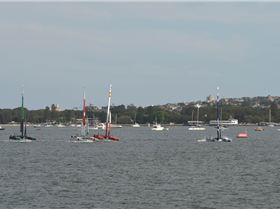 2020 Sail GP Sydney (Saturday)