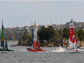 2020 Sail GP Sydney (Saturday)