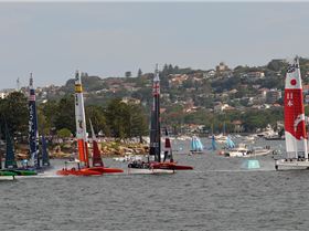 2020 Sail GP Sydney (Saturday)