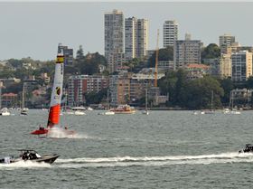 2020 Sail GP Sydney (Saturday)