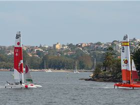 2020 Sail GP Sydney (Saturday)