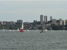 2020 Sail GP Sydney (Saturday)