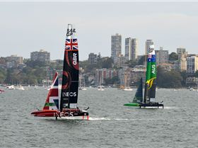 2020 Sail GP Sydney (Saturday)